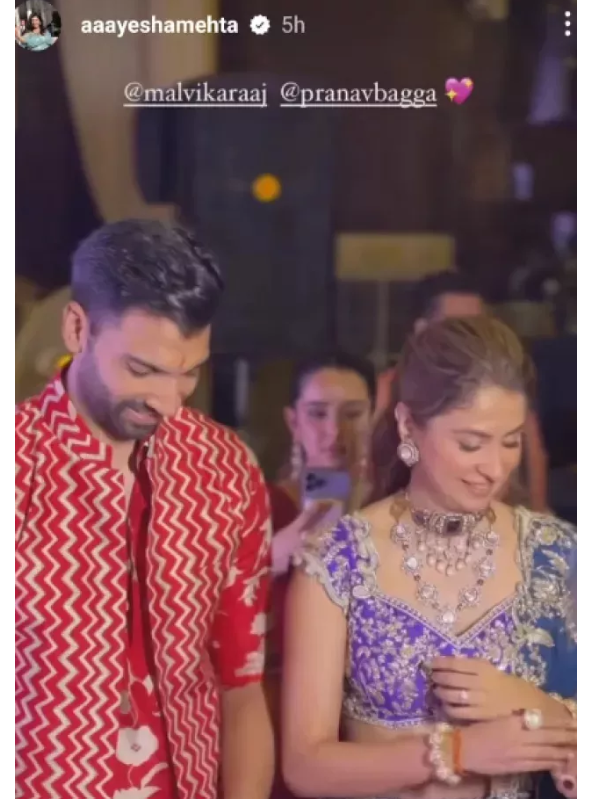 Malvika Raaj-Pranav Bagga's Weeding, Anarkali, Malvika Raaj