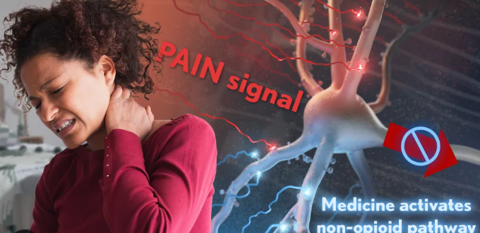 Novel Painkiller