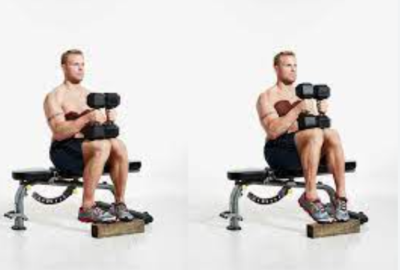 Chair Exercises