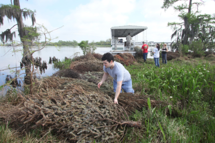 southeastern louisiana university, southeastern louisiana, christmas tree recycling, erosion control,