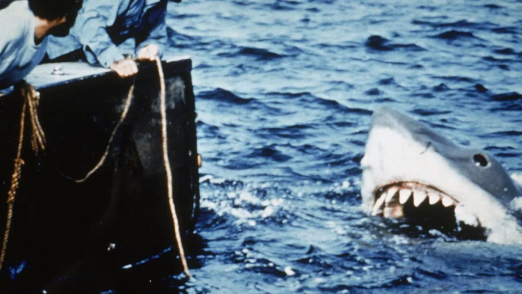 shark attack,
1916 shark attack,
jersey shore shark attack,