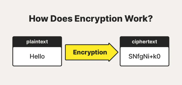 Data Protection 