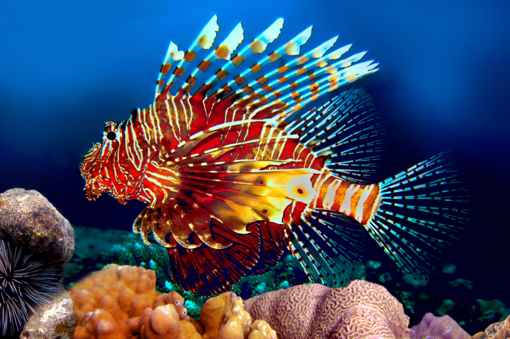 The World’s Most Dangerous Fish : A Comprehensive Guide 10 most dangerous fish, dangerous fish, The world’s most dangerous fish, deadly fish,