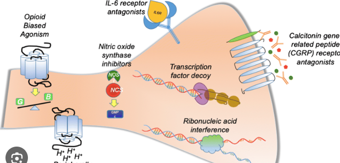A Novel Painkiller May Offer Patients An Alternative To Opioids 9 Painkiller