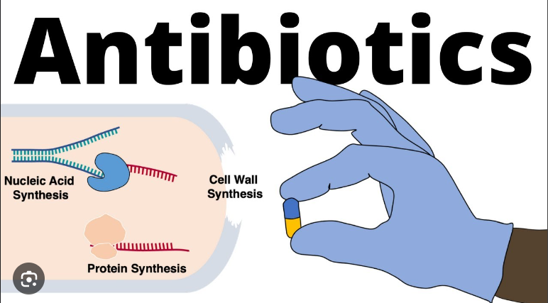 Antibiotic