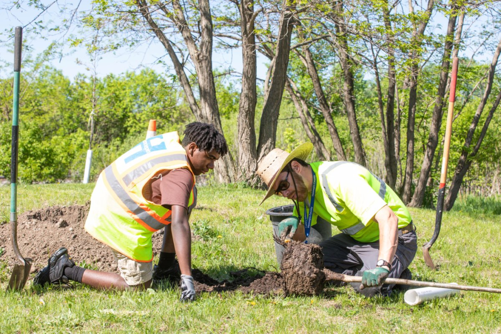 environmental stewardship,
VIWMA,
stewardship,
stewardship meaning,
green alliance,