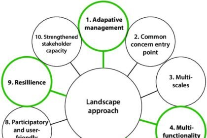 Unveiling Effective Management Approaches Across Diverse Cultural Landscapes