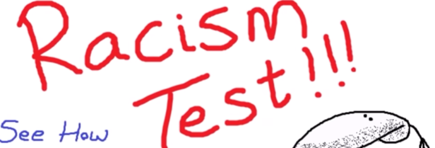 Piketty Racism Test