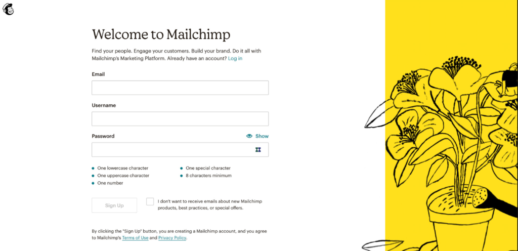 Mailchimp: An In-Depth Look