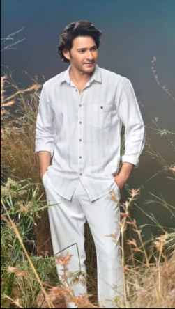 Paparazzo Tags Vijay Deverakonda, Jr NTR, Mahesh Babu, 'Fake', 'Woh Naklipan Karte..' 12 Mahesh Babu