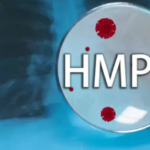 Human Metapneumovirus ( HMPV )