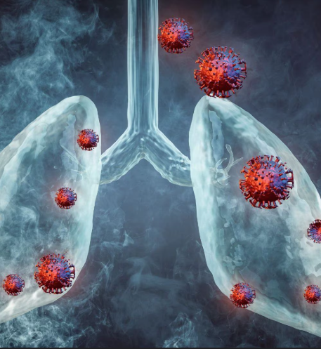 Diagnosis And Tests Of Human Metapneumovirus